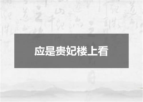 应是贵妃楼上看