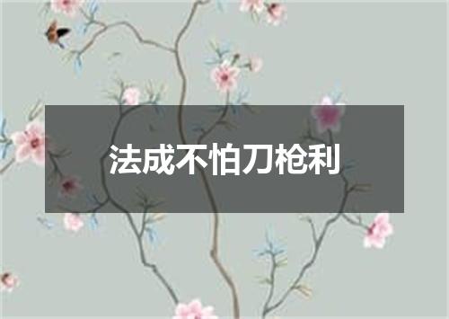 法成不怕刀枪利