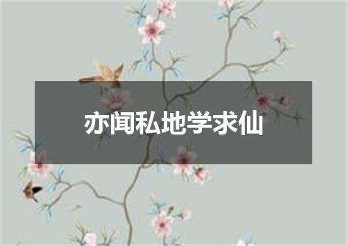 亦闻私地学求仙