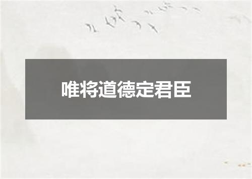 唯将道德定君臣