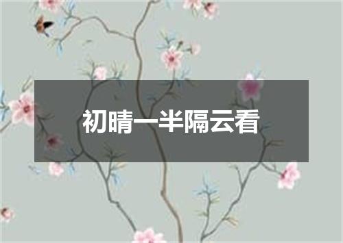 初晴一半隔云看