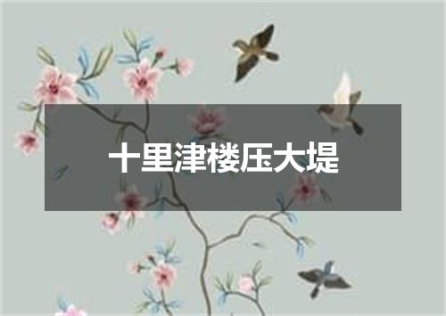 十里津楼压大堤