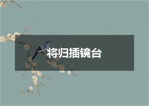 将归插镜台
