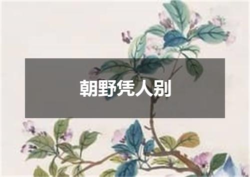 朝野凭人别