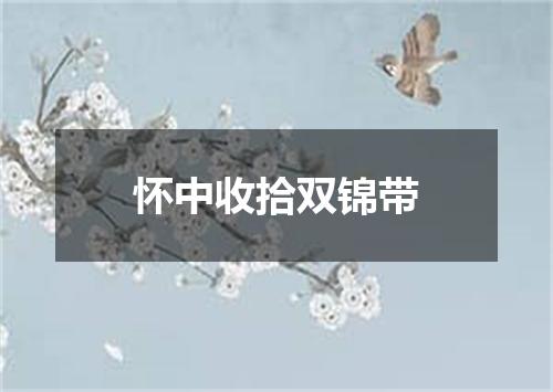 怀中收拾双锦带
