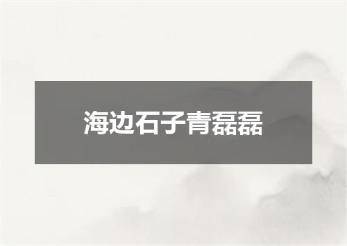 海边石子青磊磊