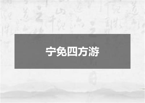 宁免四方游
