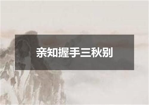 亲知握手三秋别