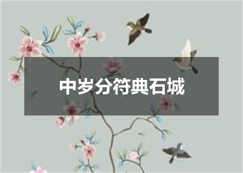 中岁分符典石城