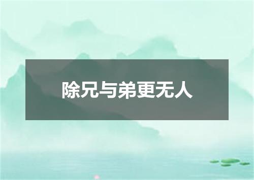 除兄与弟更无人