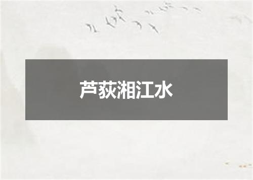 芦荻湘江水