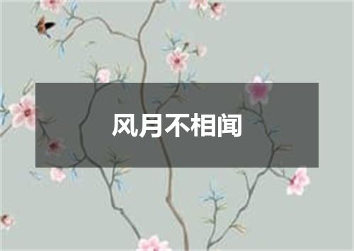 风月不相闻