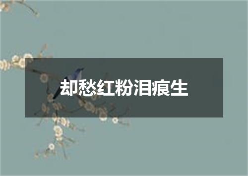 却愁红粉泪痕生
