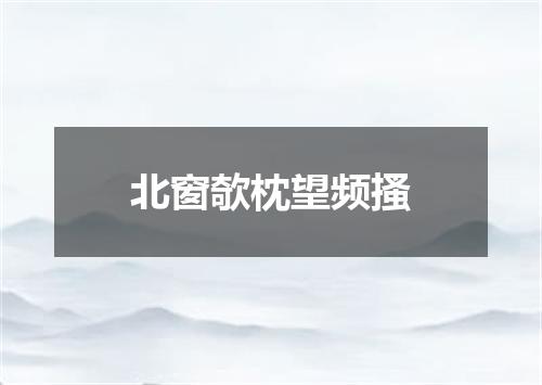 北窗欹枕望频搔