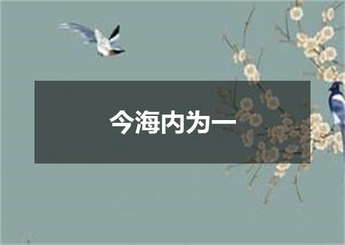 今海内为一
