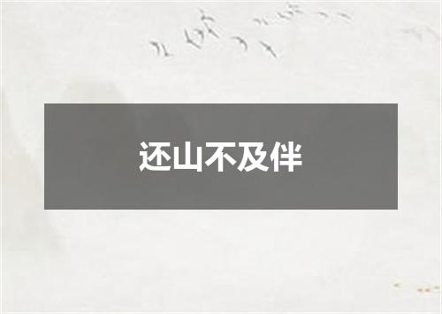 还山不及伴