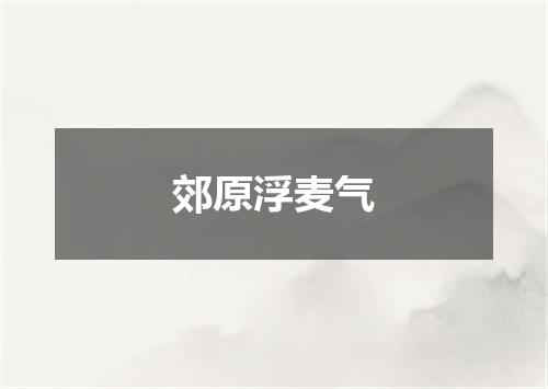 郊原浮麦气