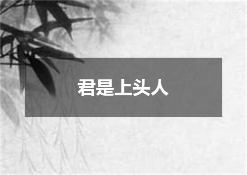 君是上头人