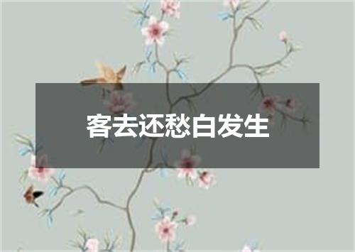 客去还愁白发生