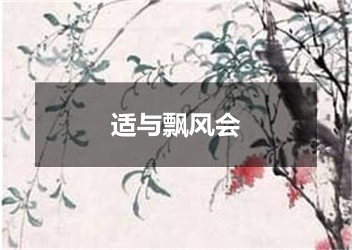 适与飘风会