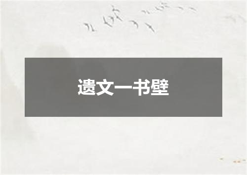 遗文一书壁