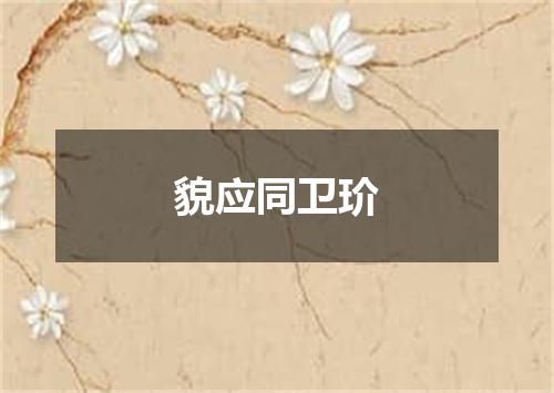 貌应同卫玠