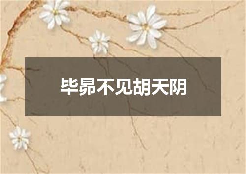 毕昴不见胡天阴