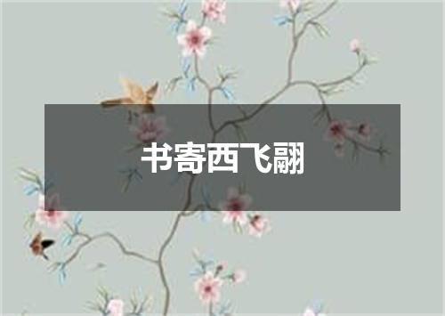 书寄西飞翮