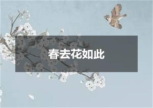春去花如此