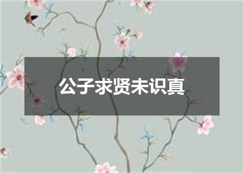 公子求贤未识真