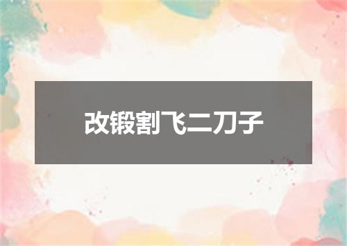 改锻割飞二刀子