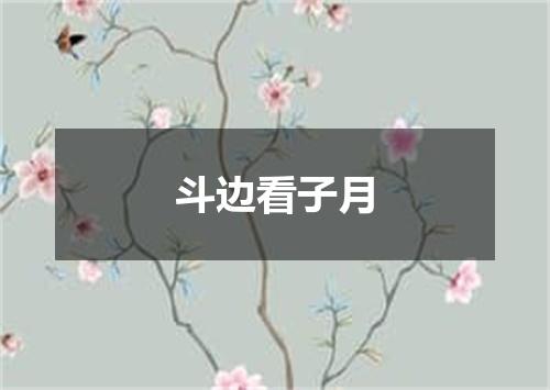 斗边看子月