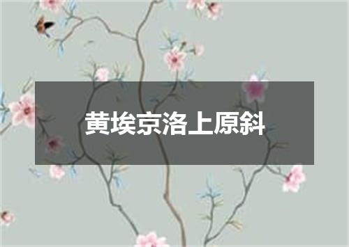 黄埃京洛上原斜