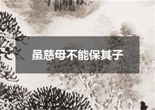 虽慈母不能保其子