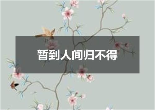 暂到人间归不得