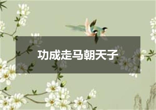 功成走马朝天子