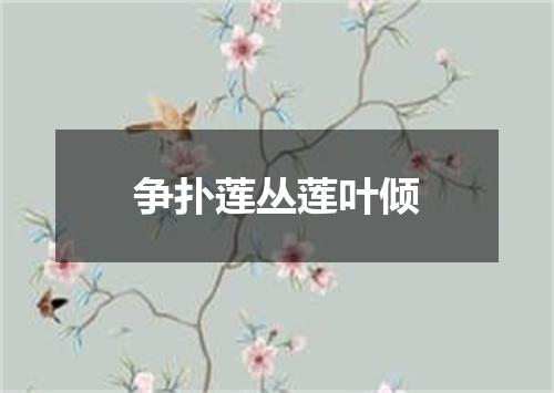 争扑莲丛莲叶倾