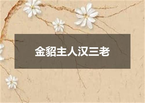 金貂主人汉三老