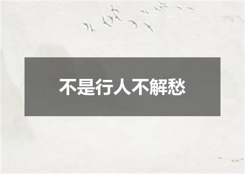 不是行人不解愁