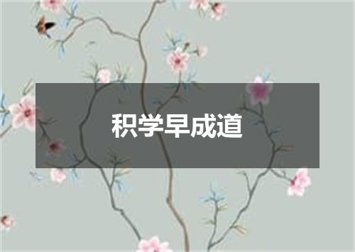 积学早成道