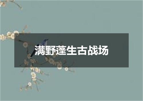 满野蓬生古战场