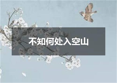 不知何处入空山