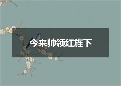 今来帅领红旌下