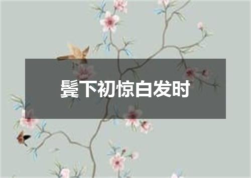鬓下初惊白发时