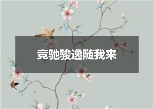 竞驰骏逸随我来