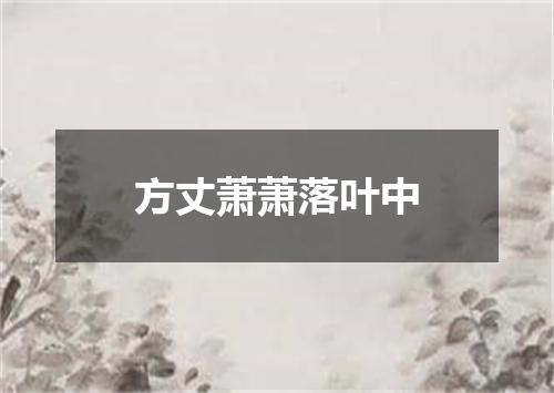 方丈萧萧落叶中