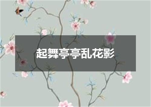 起舞亭亭乱花影