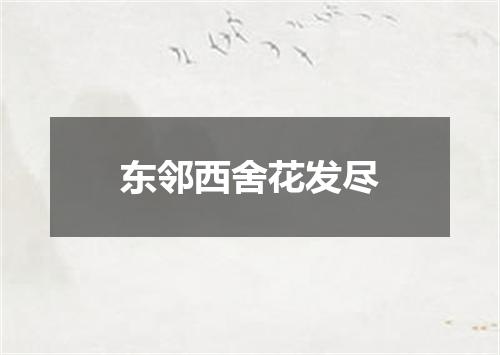 东邻西舍花发尽