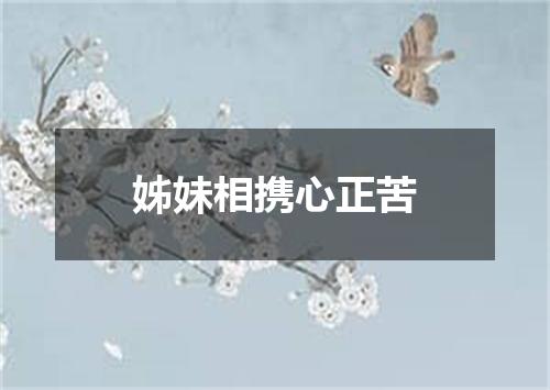 姊妹相携心正苦