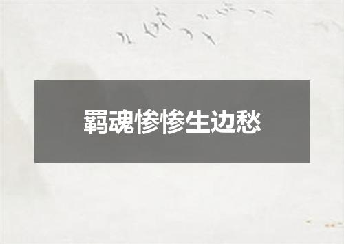 羁魂惨惨生边愁
